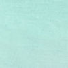 Elegant Sea Green Saree